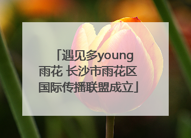 遇见多young雨花 长沙市雨花区国际传播联盟成立