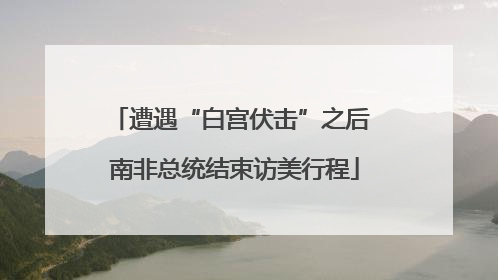 遭遇“白宫伏击”之后 南非总统结束访美行程