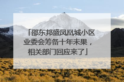 邵东邦盛凤凰城小区业委会筹备十年未果，相关部门回应来了