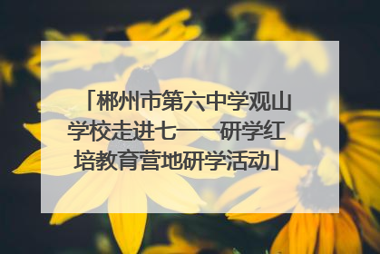 郴州市第六中学观山学校走进七一一研学红培教育营地研学活动