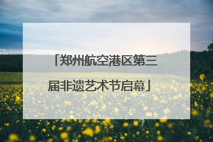 郑州航空港区第三届非遗艺术节启幕