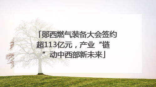 郧西燃气装备大会签约超113亿元，产业“链”动中西部新未来
