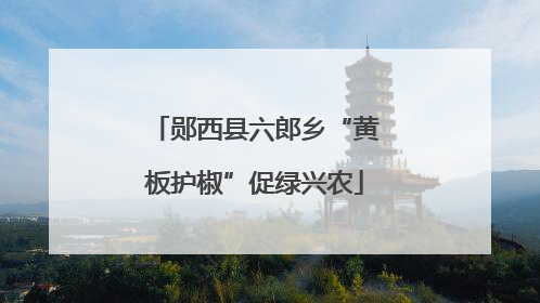 郧西县六郎乡“黄板护椒”促绿兴农