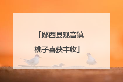 郧西县观音镇桃子喜获丰收
