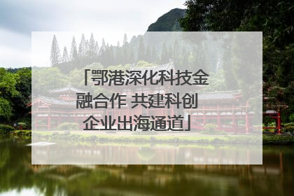 鄂港深化科技金融合作 共建科创企业出海通道