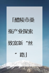 醴陵市桑蚕产业探索致富新“丝”路