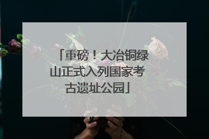 重磅！大冶铜绿山正式入列国家考古遗址公园
