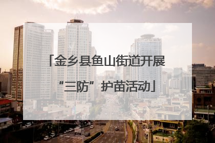 金乡县鱼山街道开展“三防”护苗活动