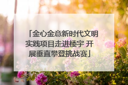 金心金意新时代文明实践项目走进楼宇 开展垂直攀登挑战赛