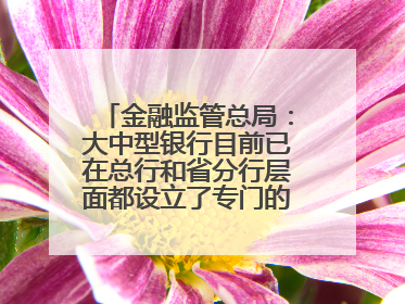 金融监管总局：大中型银行目前已在总行和省分行层面都设立了专门的科技金融部门