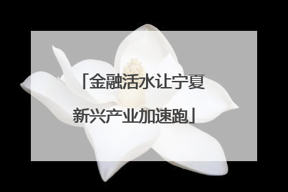 金融活水让宁夏新兴产业加速跑