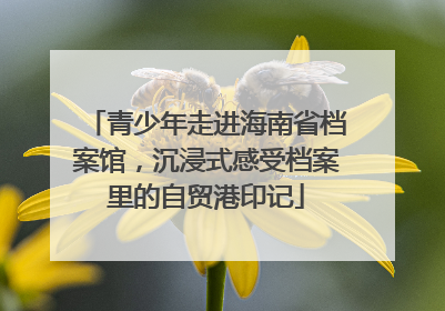 青少年走进海南省档案馆，沉浸式感受档案里的自贸港印记