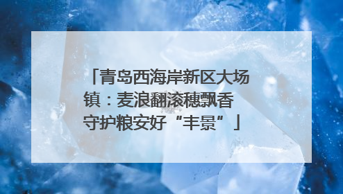 青岛西海岸新区大场镇：麦浪翻滚穗飘香 守护粮安好“丰景”