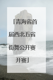 青海省首届西北五省街舞公开赛开赛