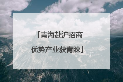 青海赴沪招商 优势产业获青睐