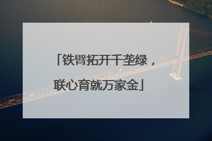 铁臂拓开千垄绿，联心育就万家金