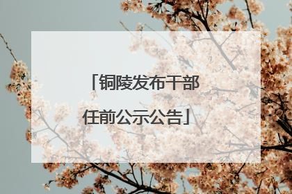 铜陵发布干部任前公示公告