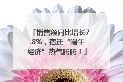 销售额同比增长7.8%，宿迁“端午经济”热气腾腾！