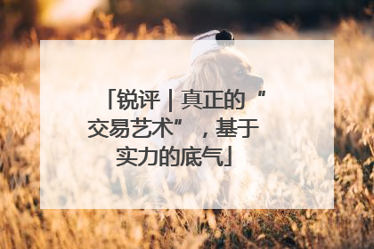 锐评｜真正的“交易艺术”，基于实力的底气