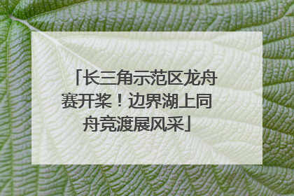 长三角示范区龙舟赛开桨！边界湖上同舟竞渡展风采