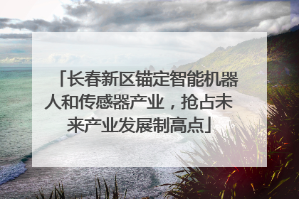 长春新区锚定智能机器人和传感器产业，抢占未来产业发展制高点