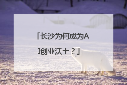 长沙为何成为AI创业沃土？