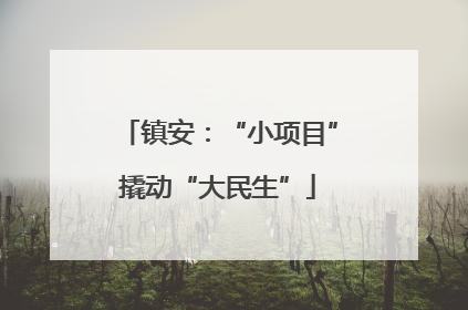 镇安：“小项目”撬动“大民生”