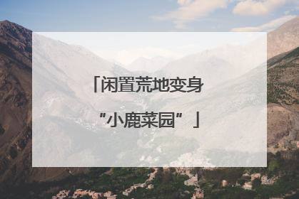 闲置荒地变身“小鹿菜园”