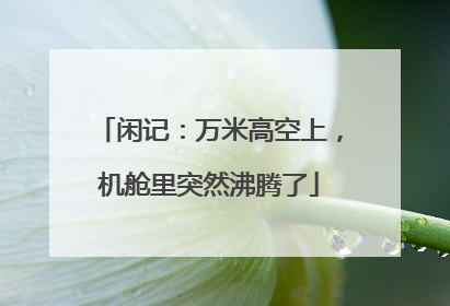 闲记：万米高空上，机舱里突然沸腾了