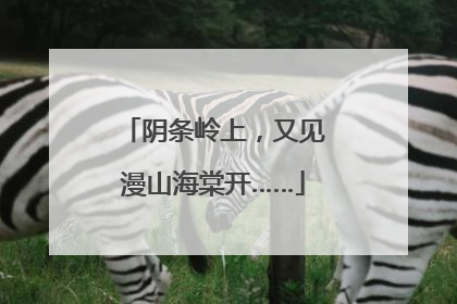 阴条岭上，又见漫山海棠开……