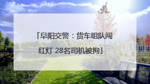 阜阳交警：货车组队闯红灯 28名司机被拘