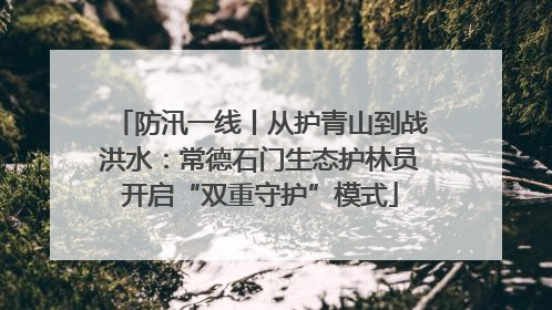 防汛一线丨从护青山到战洪水：常德石门生态护林员开启“双重守护”模式