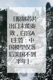 限制芯片出口未能奏效，白宫AI主管：中国模型仅落后美国不到半年