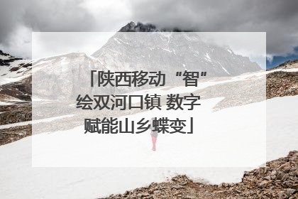 陕西移动“智”绘双河口镇 数字赋能山乡蝶变
