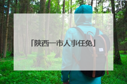 陕西一市人事任免