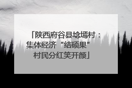 陕西府谷县埝墕村：集体经济“结硕果” 村民分红笑开颜