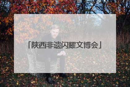 陕西非遗闪耀文博会