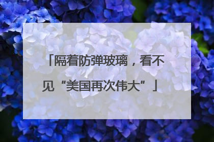 隔着防弹玻璃，看不见“美国再次伟大”