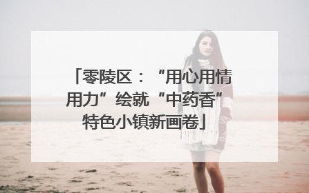 零陵区：“用心用情用力”绘就“中药香”特色小镇新画卷