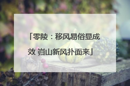 零陵：移风易俗显成效 岿山新风扑面来