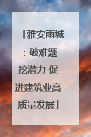 雅安雨城：破难题 挖潜力 促进建筑业高质量发展