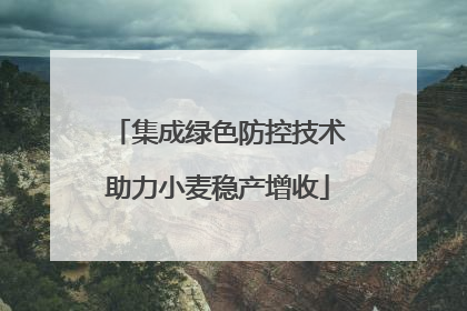 集成绿色防控技术助力小麦稳产增收