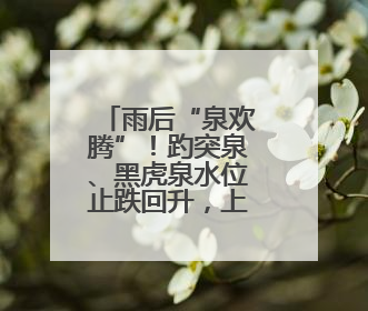 雨后“泉欢腾”！趵突泉、黑虎泉水位止跌回升，上涨3厘米