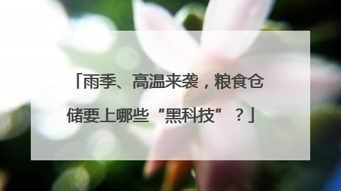 雨季、高温来袭，粮食仓储要上哪些“黑科技”？