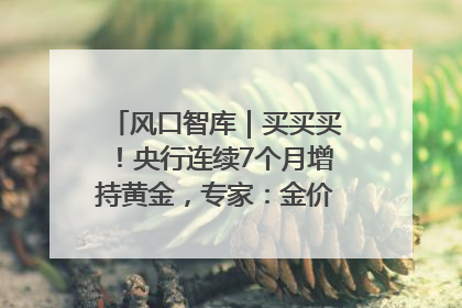 风口智库｜买买买！央行连续7个月增持黄金，专家：金价或仍易涨难跌