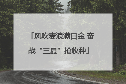 风吹麦浪满目金 奋战“三夏”抢收种