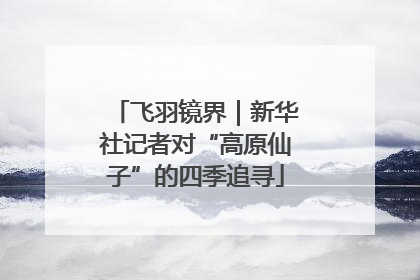 飞羽镜界｜新华社记者对“高原仙子”的四季追寻