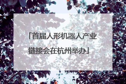 首届人形机器人产业链接会在杭州举办