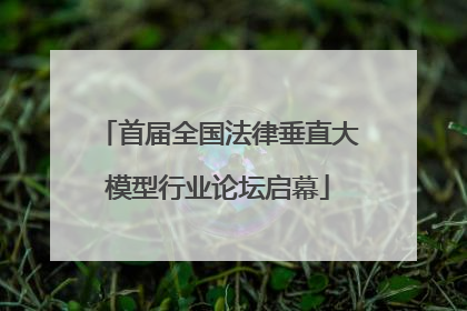 首届全国法律垂直大模型行业论坛启幕