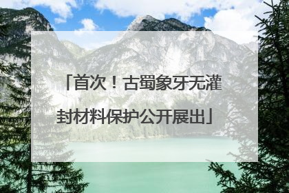 首次！古蜀象牙无灌封材料保护公开展出